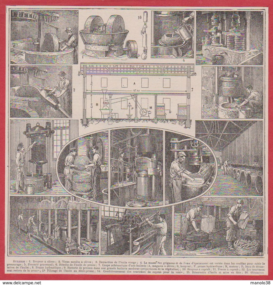 Huilerie. Huile D'olive. Broyeur, Moulin, Pressoir. Illustration Maurice Dessertenne. Larousse 1931. - Documents Historiques