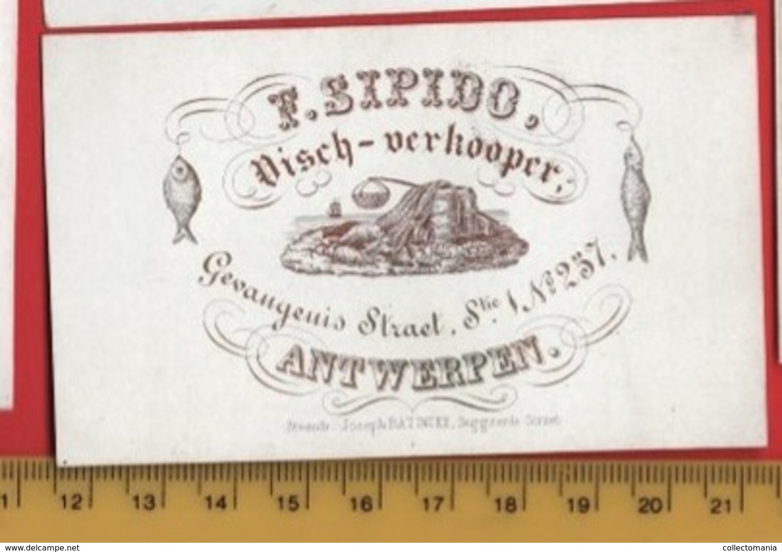 lot85C: 6 ViSiT cards, printer: all  RATiNCKX in ANVERS Antwerpen porseleinkaarten circa 1840 à1860 hand press litho