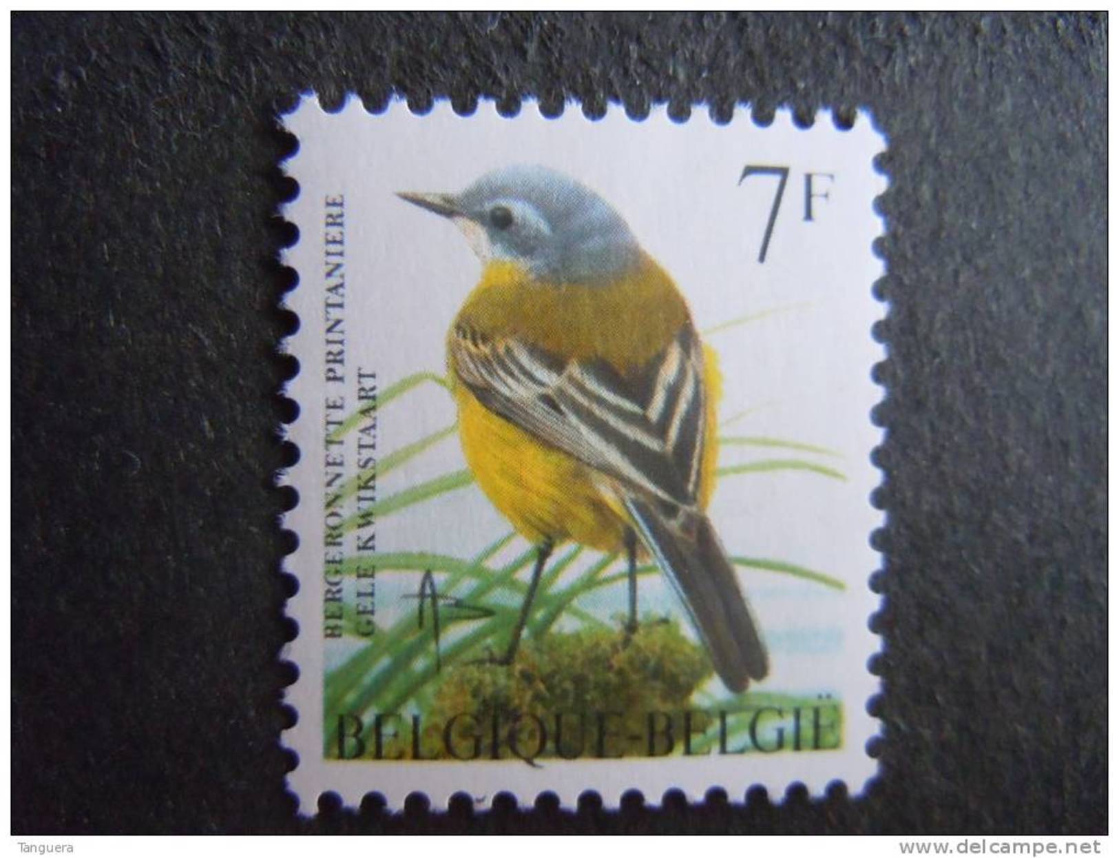 België Belgique Belgium 1997 Vogels Oiseaux Buzin Gele Kwikstaart Bergeronnette 2725 MNH ** - 1985-.. Oiseaux (Buzin)