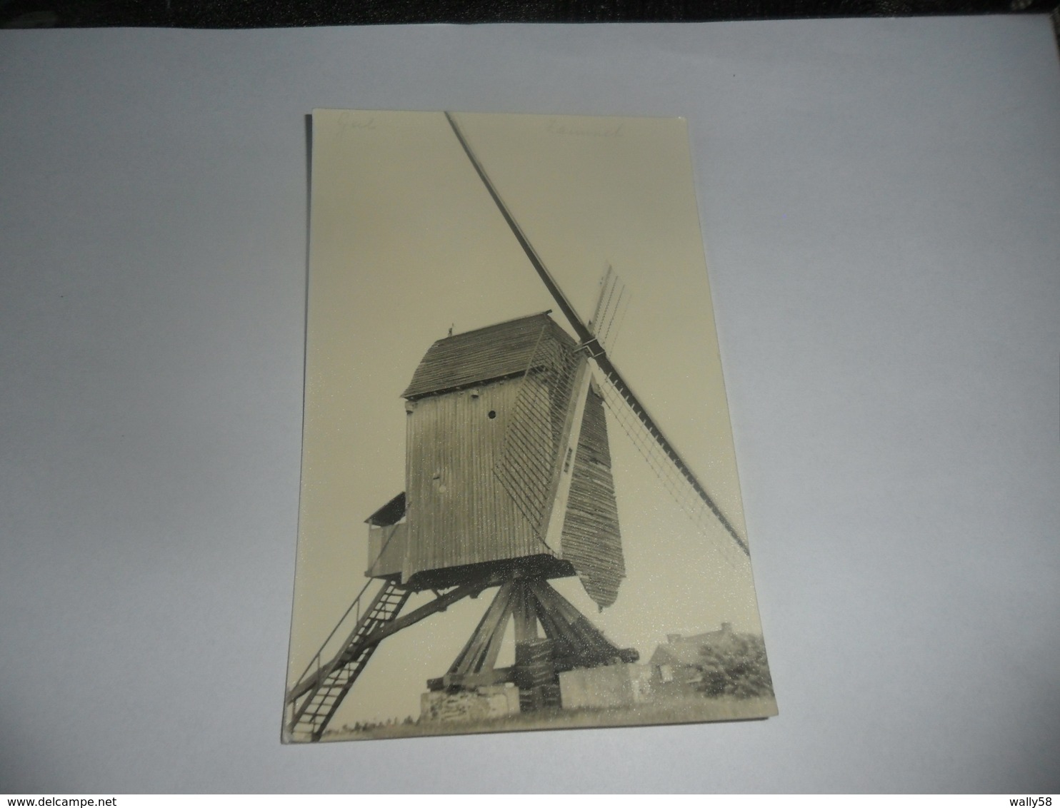 Geel Zammel Molen Fotokaart - Geel