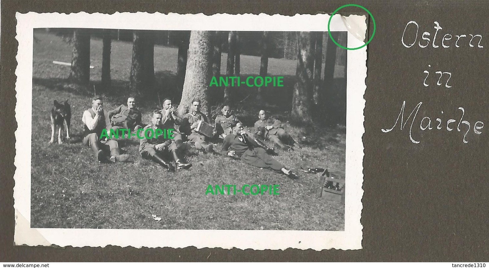 WW2 Rare PHOTO ORIGINALE Soldats Allemands à MAÎCHE Parc Château Mérode ?? Montbeliard 25 DOUBS 1941 - 1939-45