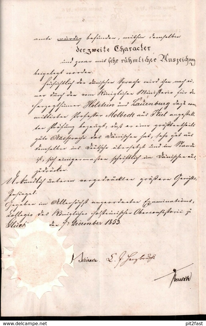 Dokument Adel , Glückstadt 1853 , A.D. Jensen , Friedensburg , Prof. Molbeck !!! - Glueckstadt