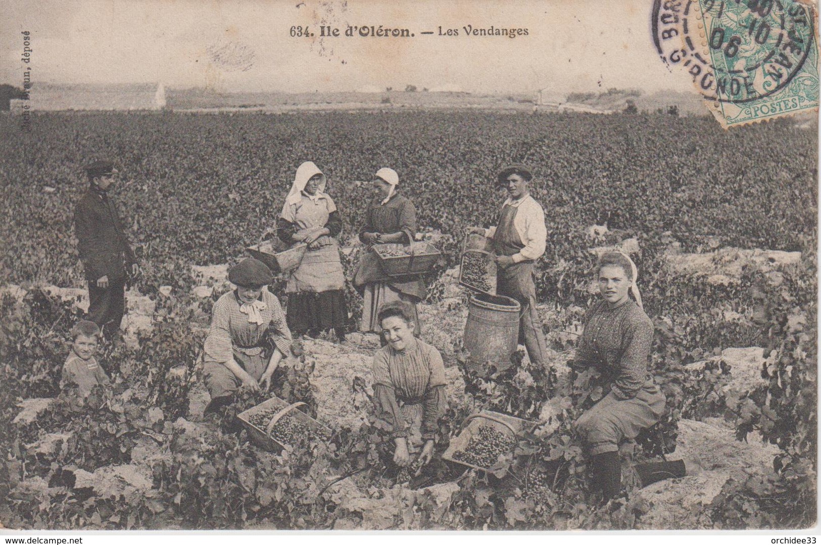 CPA île D'Oléron - Les Vendanges (très Belle Scène) - Ile D'Oléron