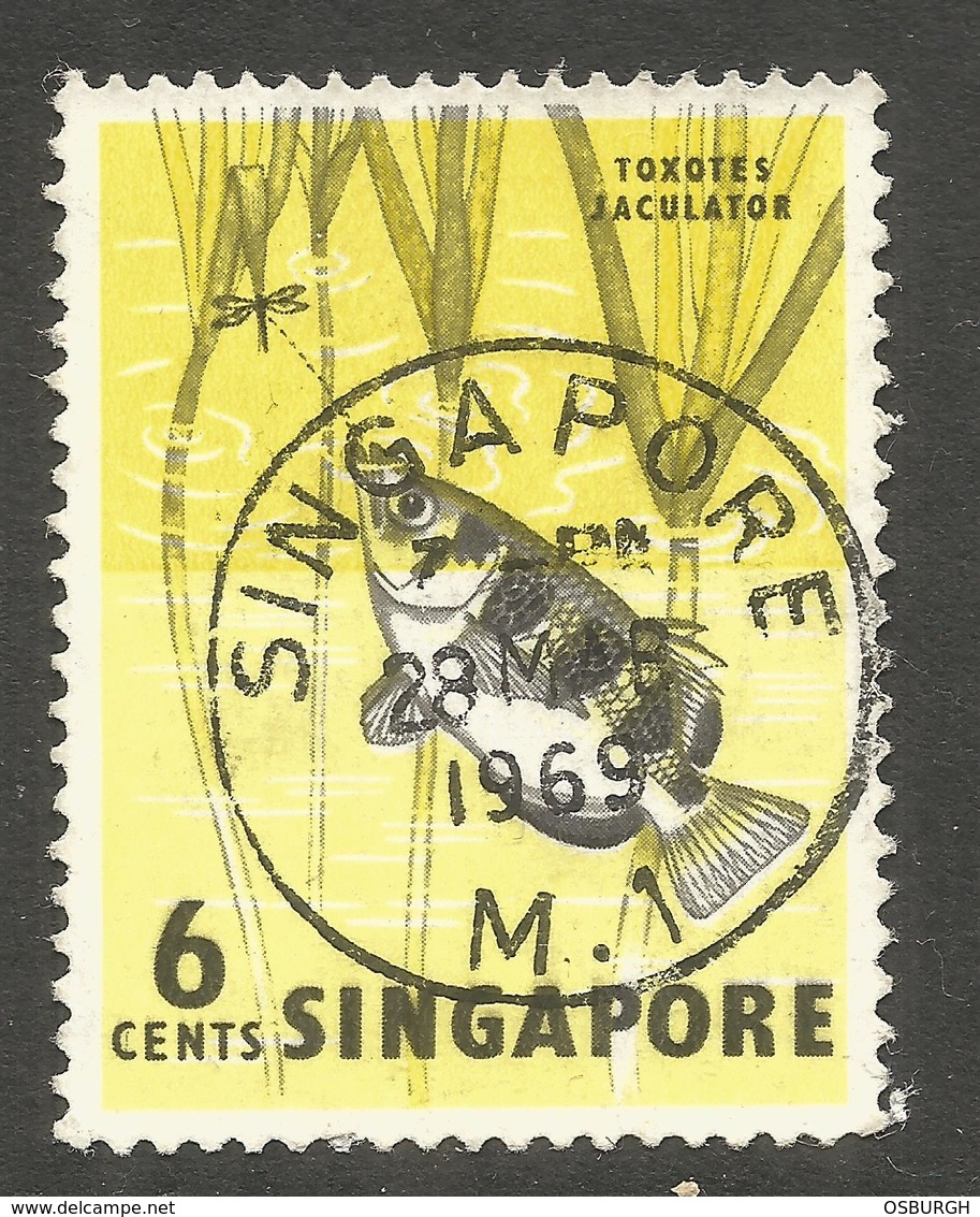 SINGAPORE. 1969. 6c FISH USED - Singapore (1959-...)