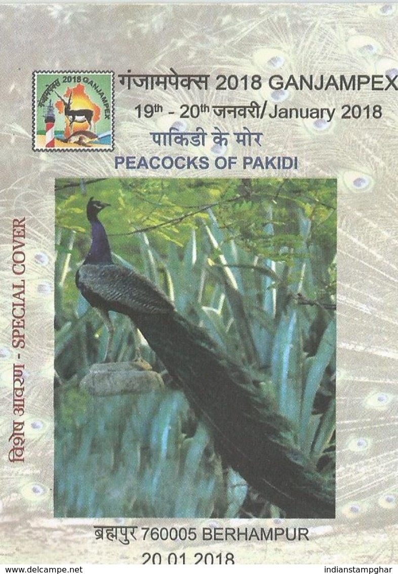 Peacocks Of Pakidi, Large & Brightly Coloured Bird, Wild Life,Special Cover,Pictorial Cancellation, India, - Paons