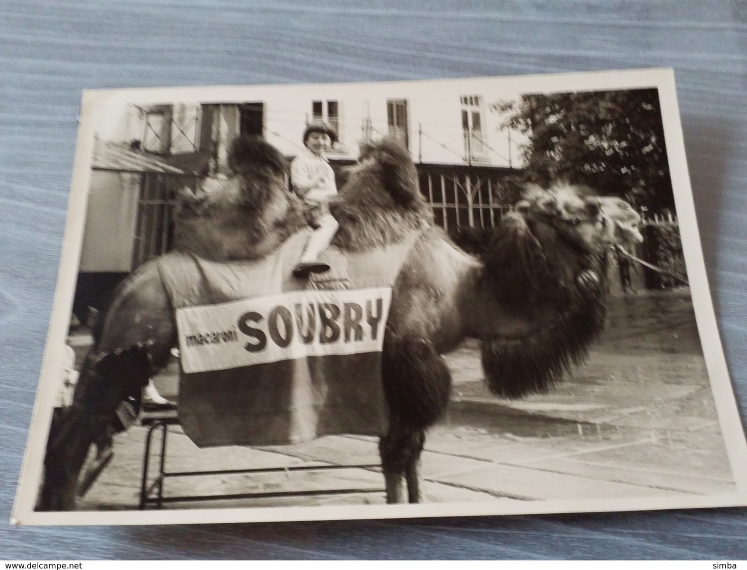 Photo Originale Publicité Soubry Enfant Sur Chameau - Non Classés