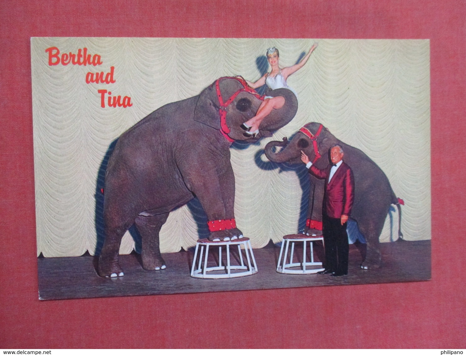 Elephants Bertha & Tina Nugget Sparks East Reno      Ref 3754 - Elephants