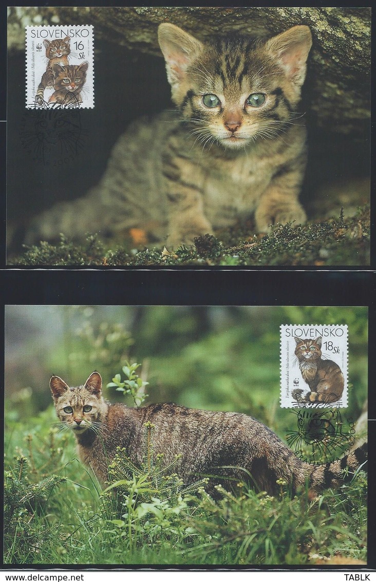 WWF-SLOWAKIJE-EUROPESE WILDE KAT-stamps+4 FDC + 4 MAX - THEMA DIEREN - WILD LIFE - ANIMALS - KATTEN - CATS - FDC