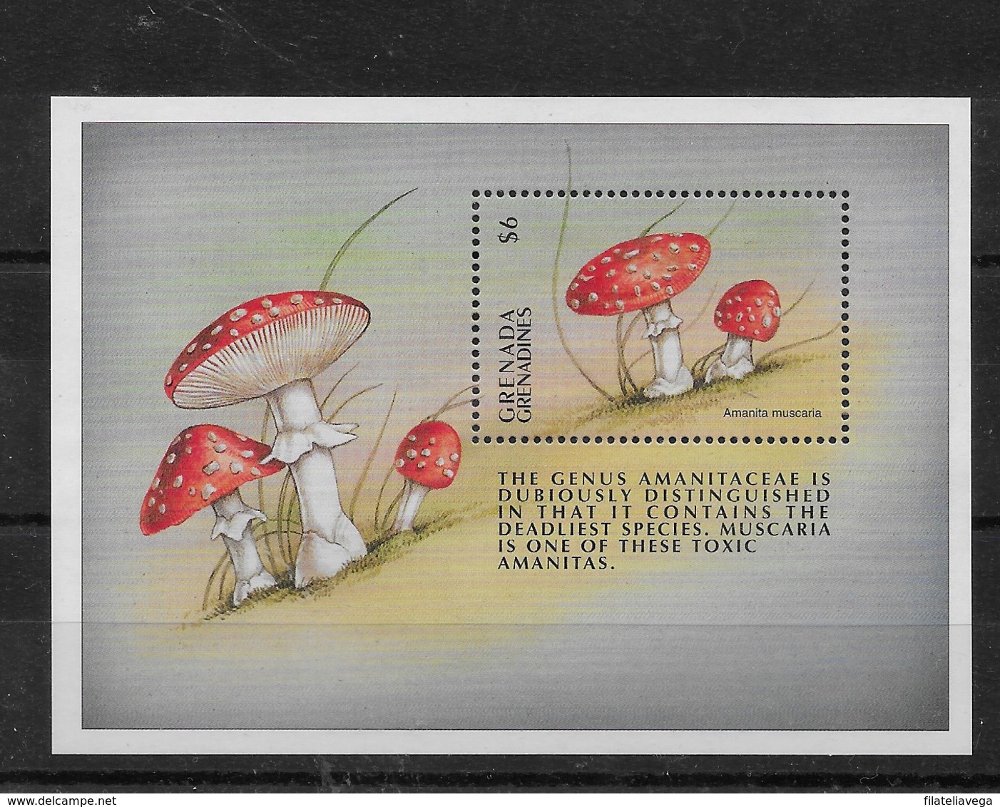 Hoja De Grenada Grenadines Nº Yvert HB-392 ** SETAS (MUSHROOMS) - Grenada (1974-...)