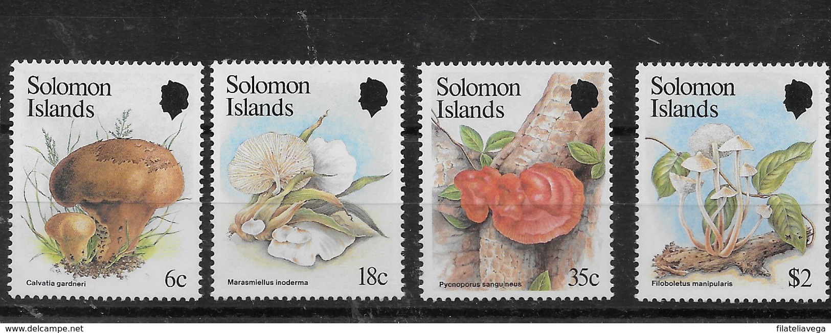 Serie De Salomón Nº Yvert 504/07 ** SETAS (MUSHROOMS) - Islas Salomón (1978-...)