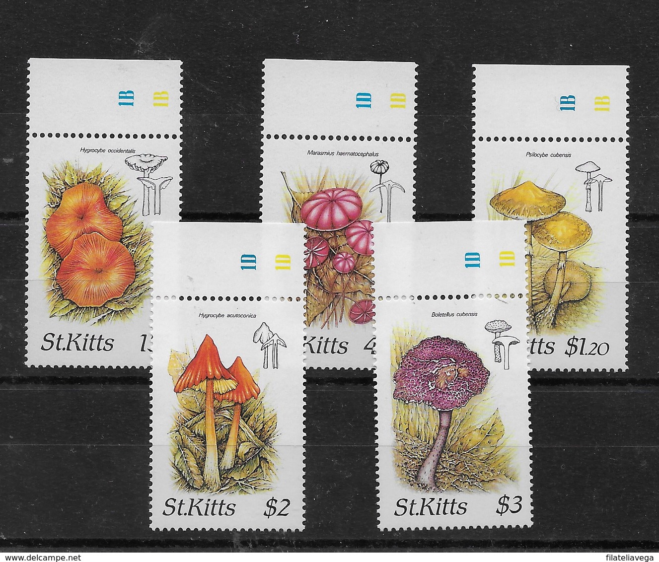 Serie De San Kitts Nº Yvert 641/45 ** SETAS (MUSHROOMS) - St.Kitts Y Nevis ( 1983-...)