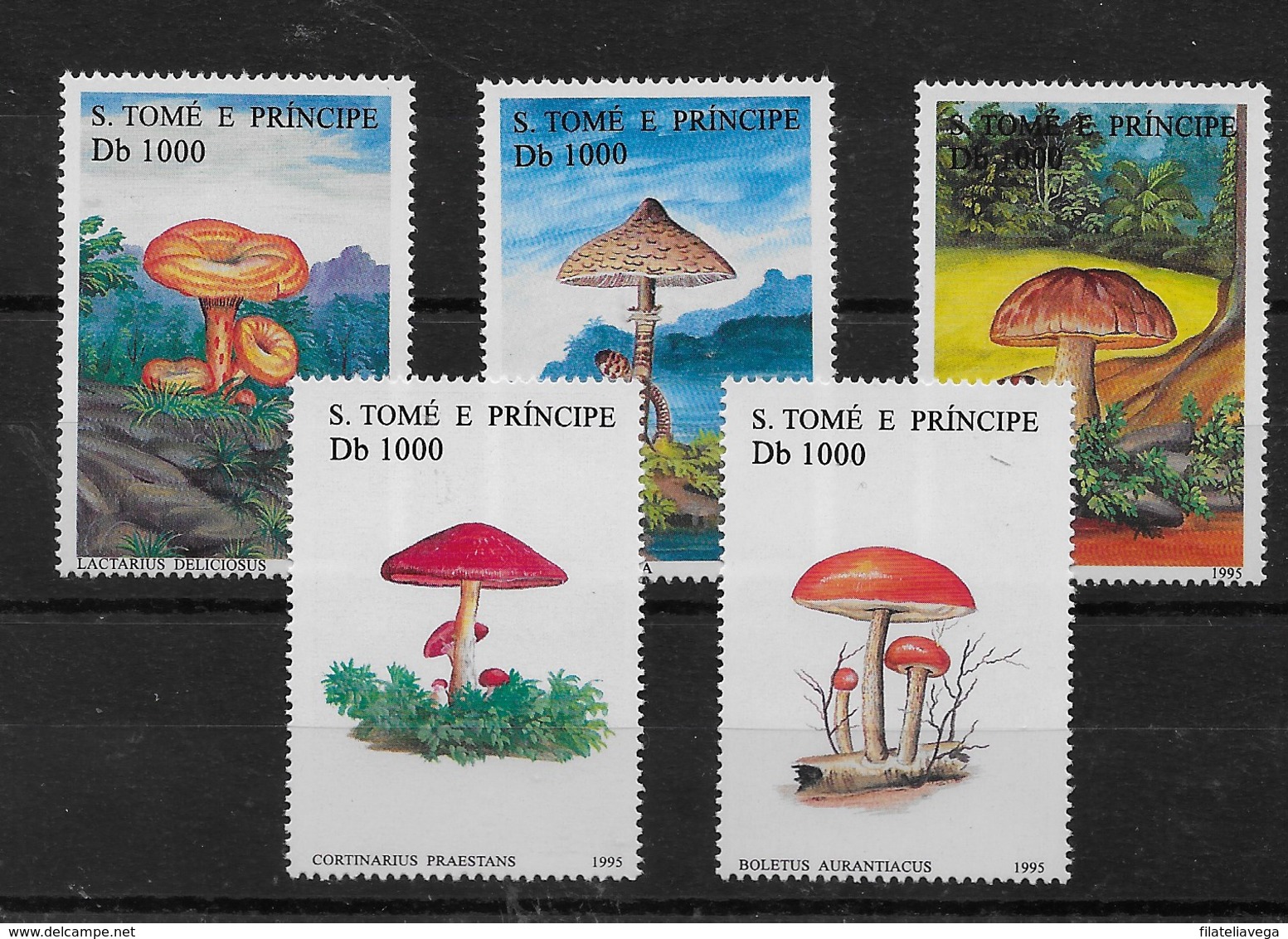 Serie De Santo Tomé Nº Yvert AÑO 1995 ** SETAS (MUSHROOMS) - Sao Tomé Y Príncipe