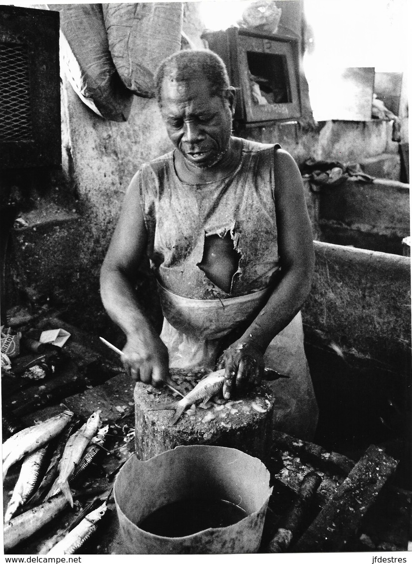 Photo Tanzanie Au Marché Au Poisson De Zanzibar  1991 - Afrique