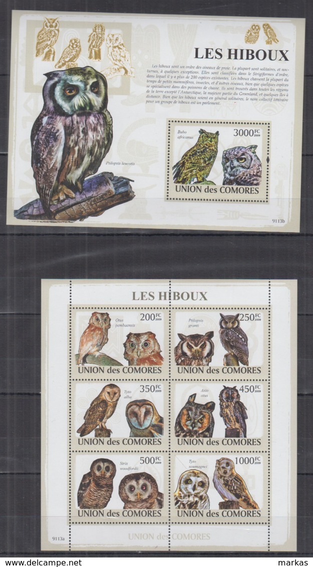 W714. Comores - MNH - 2009 - Nature - Fauna - Animals - Birds - Owls - Altri & Non Classificati