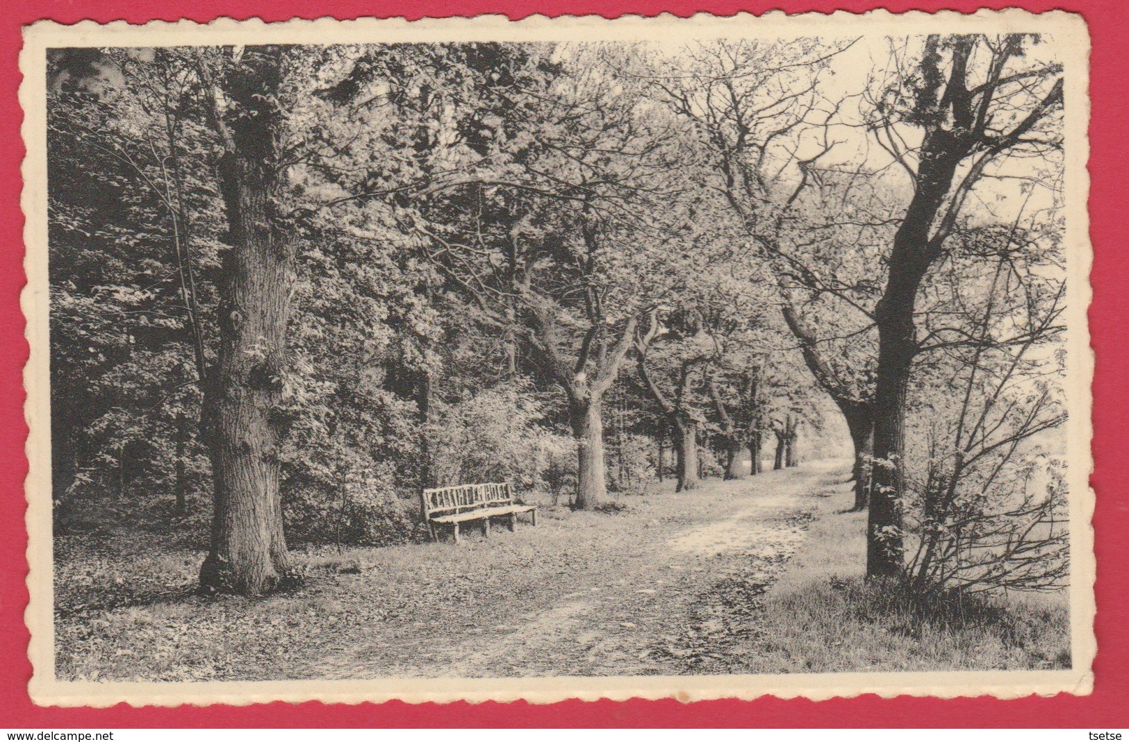 Houthalen - Dreef Keichterhoef  -1954 ( Verso Zien ) - Houthalen-Helchteren