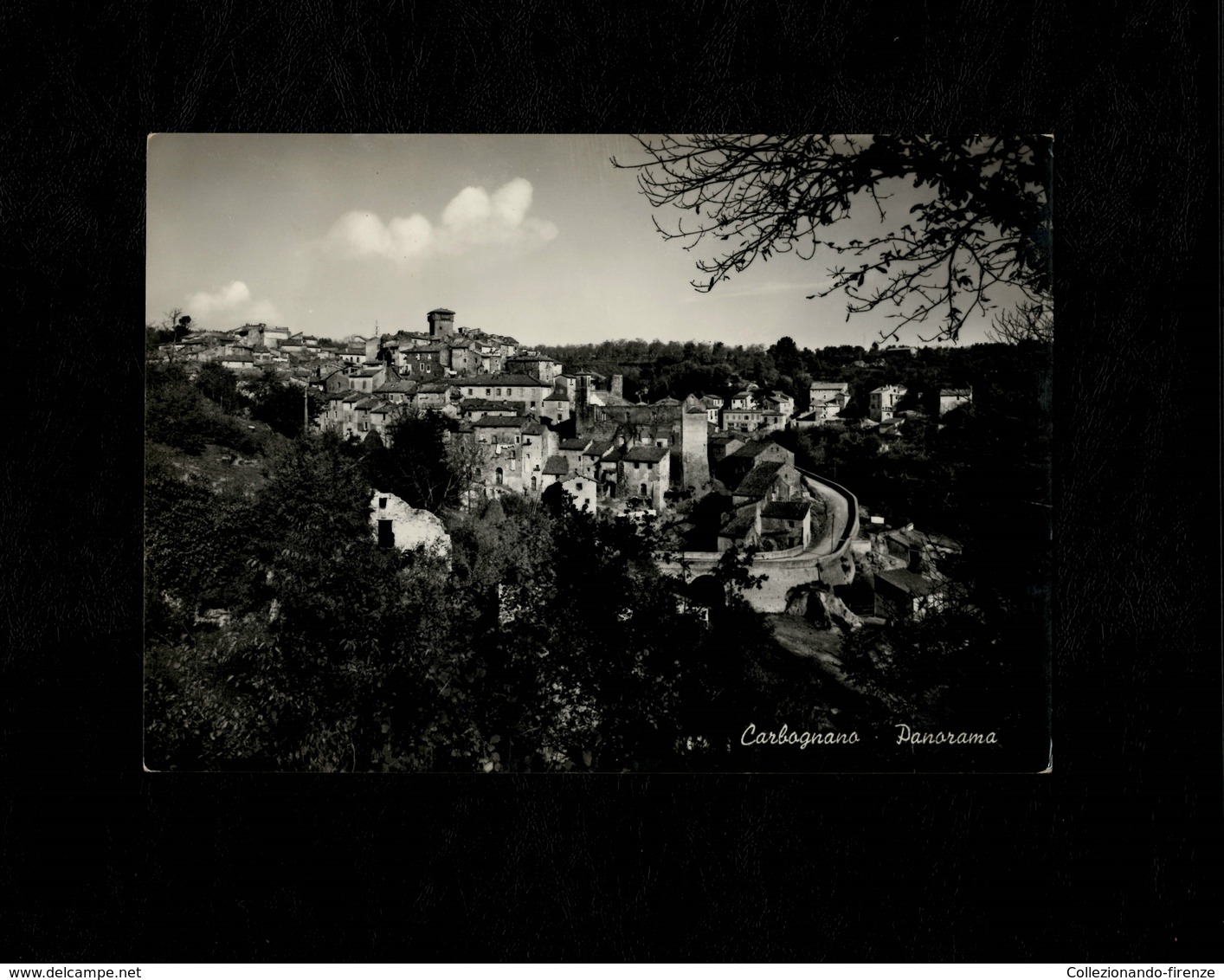 Cartolina Carbognano Panorama - Viterbo