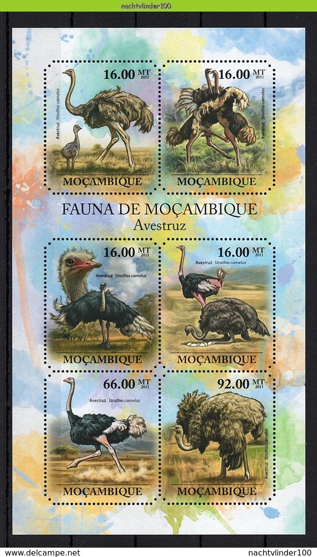 Nfo011b 2 Scans FAUNA VOGELS STRUISVOGEL OSTRICH BIRDS VÖGEL AVES OISEAUX MOCAMBIQUE 2011 PF/MNH - Struisvogels