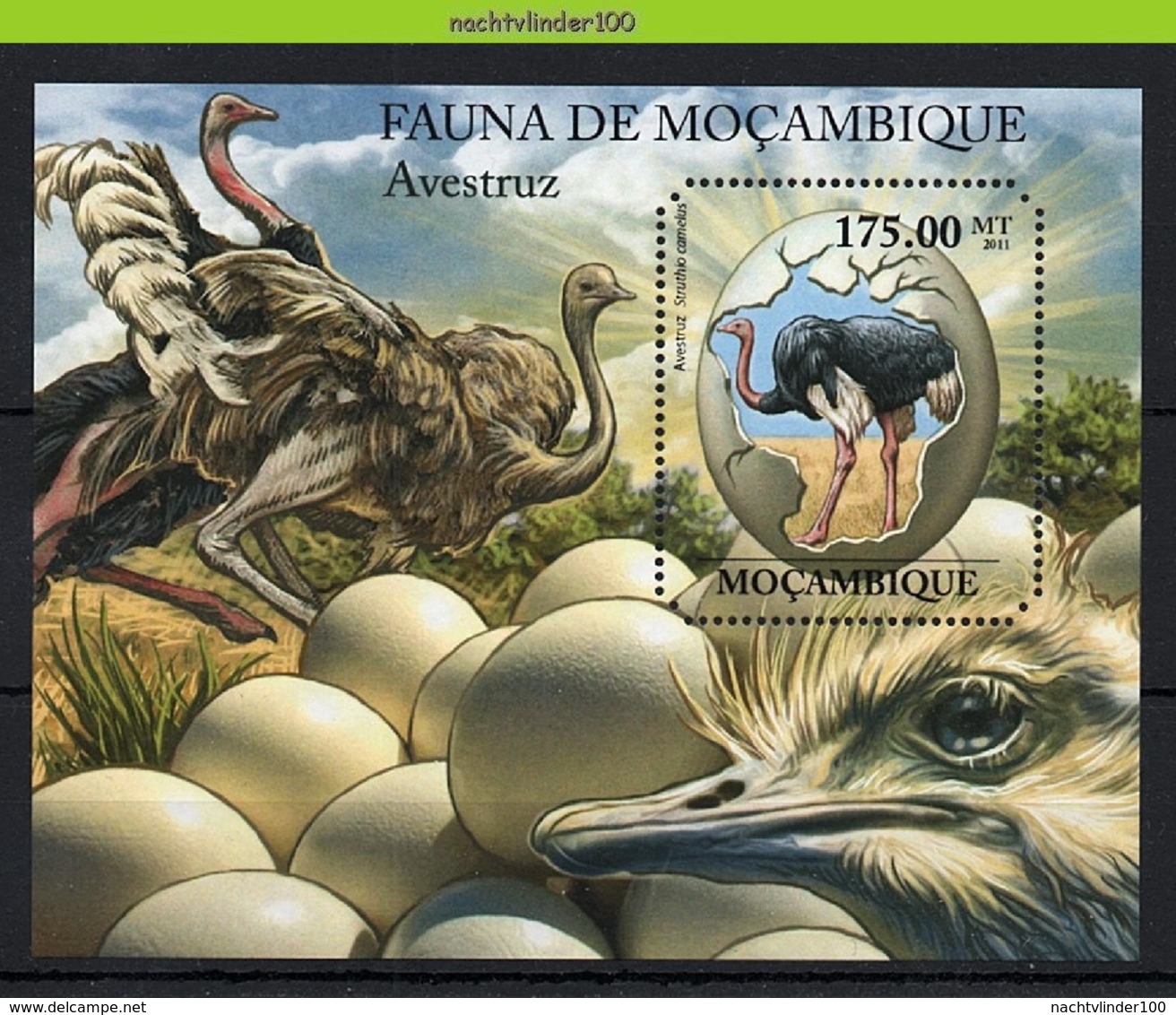 Nfo011b 2 Scans FAUNA VOGELS STRUISVOGEL OSTRICH BIRDS VÖGEL AVES OISEAUX MOCAMBIQUE 2011 PF/MNH - Autruches