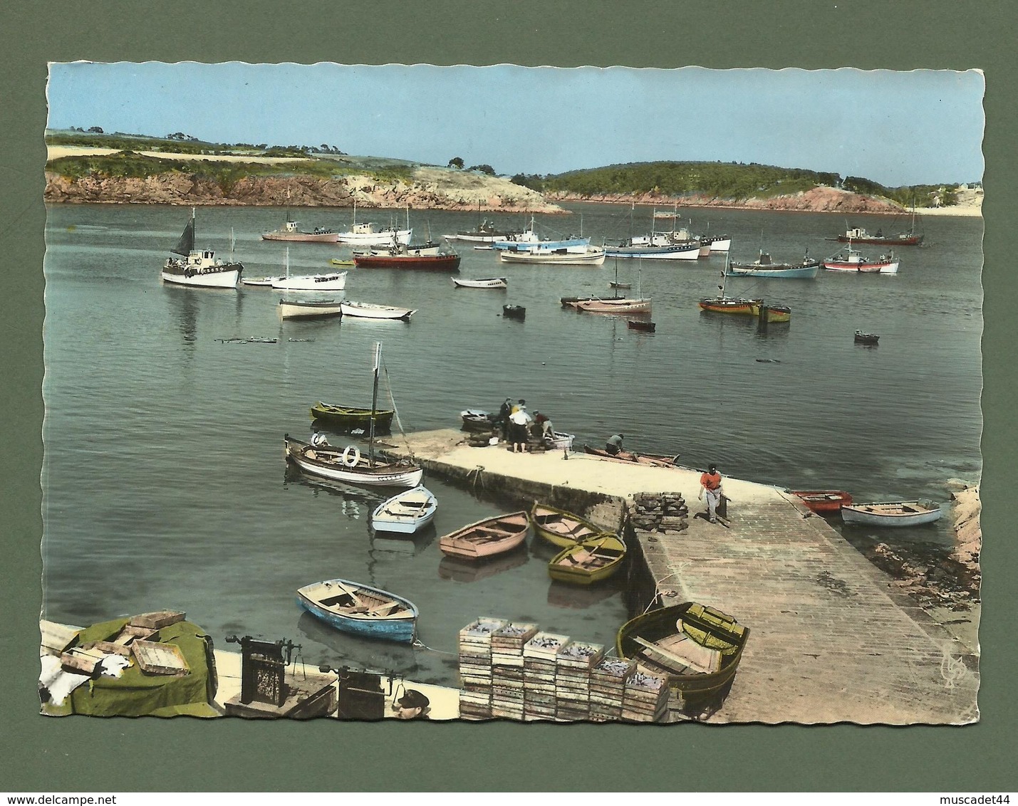 CARTE POSTALE 29 FINISTERE PORT MANECH LES SARDINIERS AU MOUILLAGE DANS LE PORT - Other & Unclassified