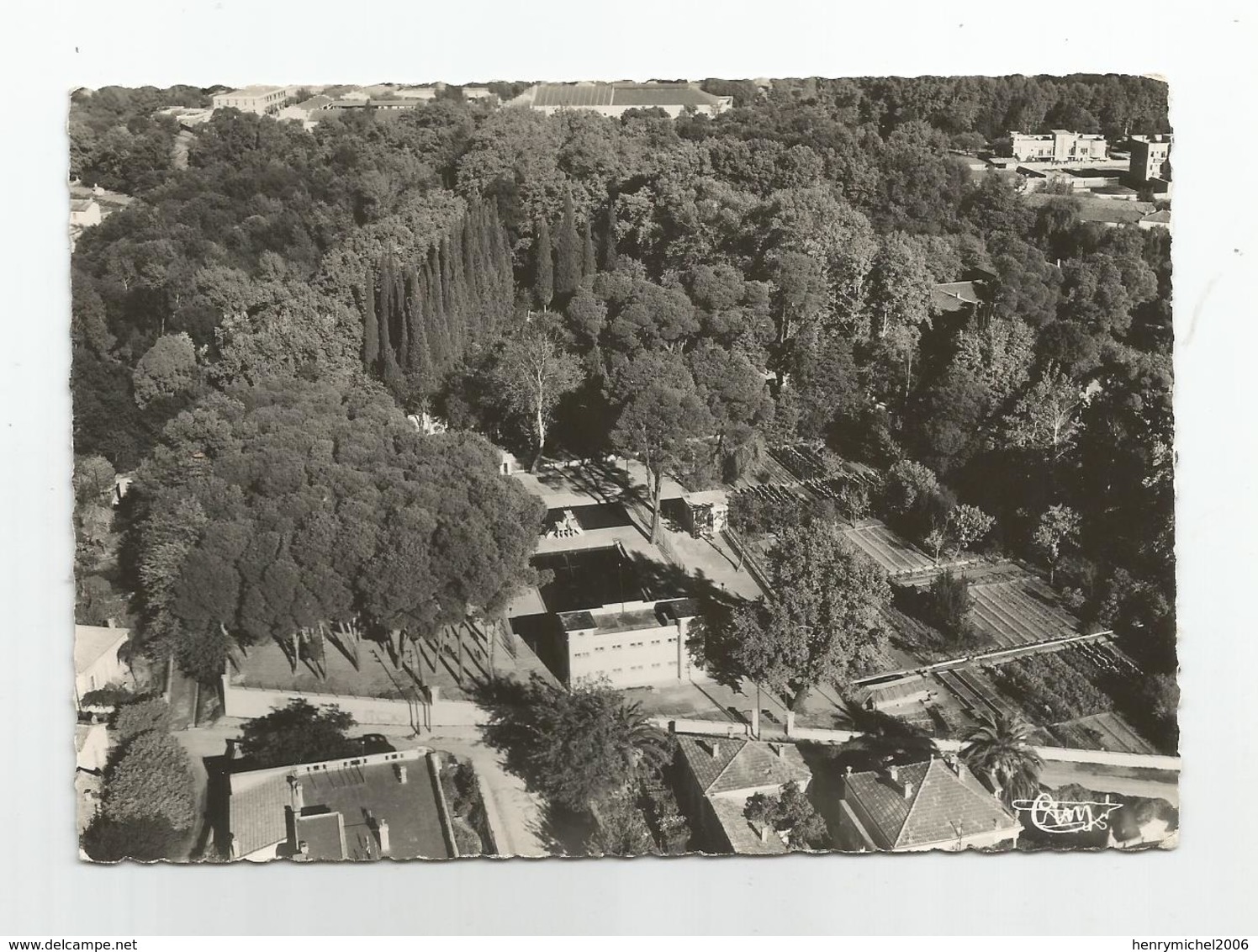 Algérie Sidi Bel Abbès ( Oran ) Vue Aérienne De La Piscine Municipale Dans Le Jardin Public - Sidi-bel-Abbès