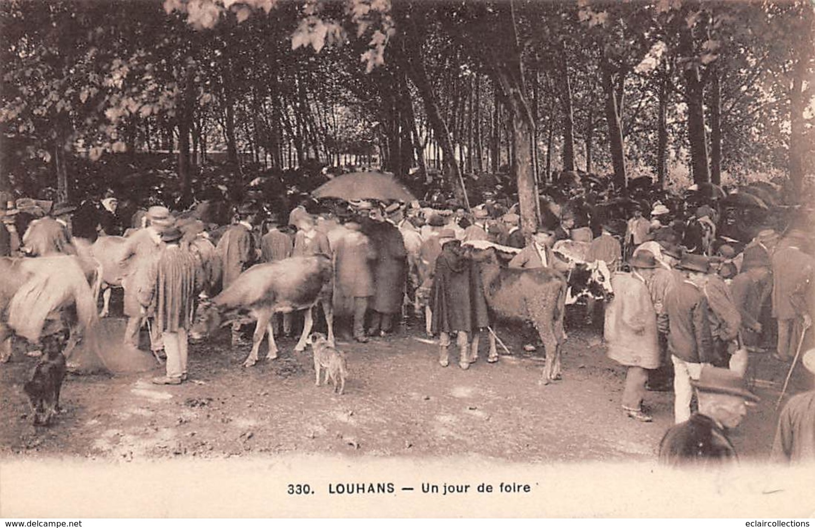 Louhans       71       Jour De Foire        (voir Scan) - Louhans