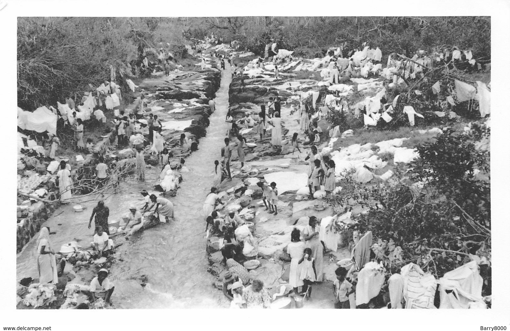 Afrika Afrique Mauritius Photos H T Hardy Thomas ILE MAURICE, Cyclone Carol 1960 Photo    Barry 1922 - Maurice