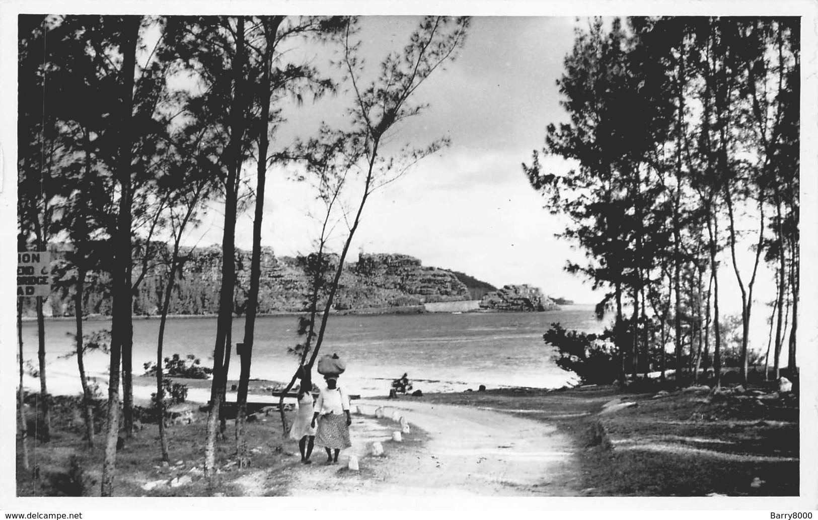 Mauritius Carte Postale De Luxe, Photo E. Jean-Louis Curepipe Beautés De L'Ile Maurice  Maconde Savanne      Barry 1934 - Maurice