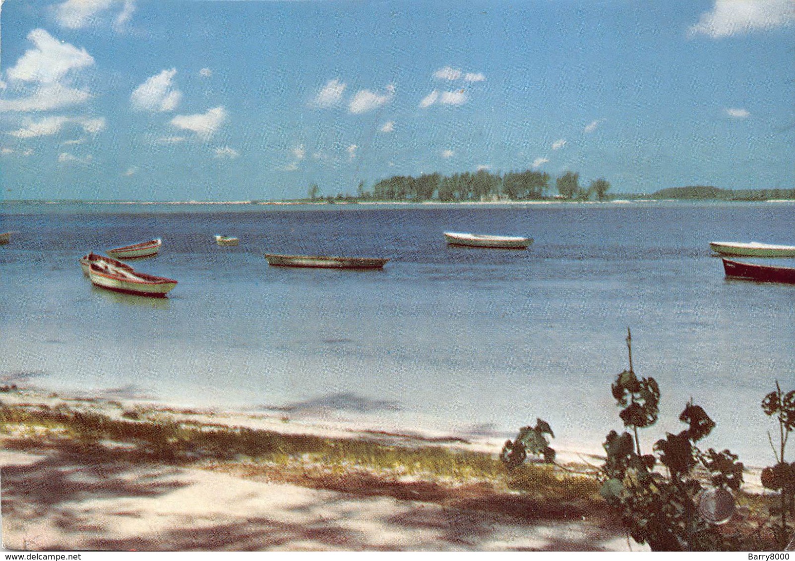 Mauritius Photo Siegfried Sammer  ILE MAURICE - Plage De La Riviere Noire   Barry 1964 - Maurice