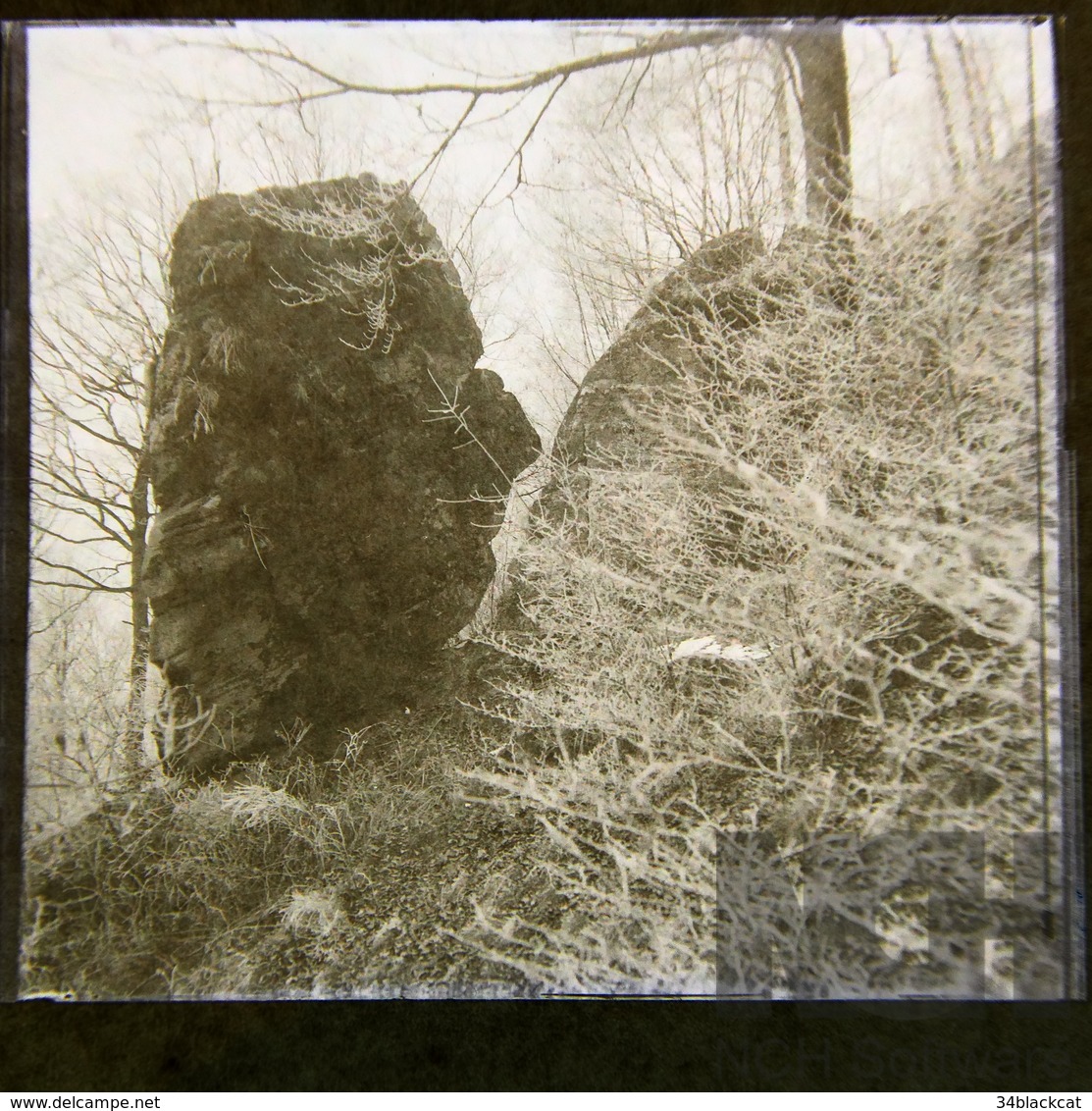 VOSGES  , Plombières Roche De La Carrande, Ancienne Plaque Photographique En Verre - Diapositivas De Vidrio