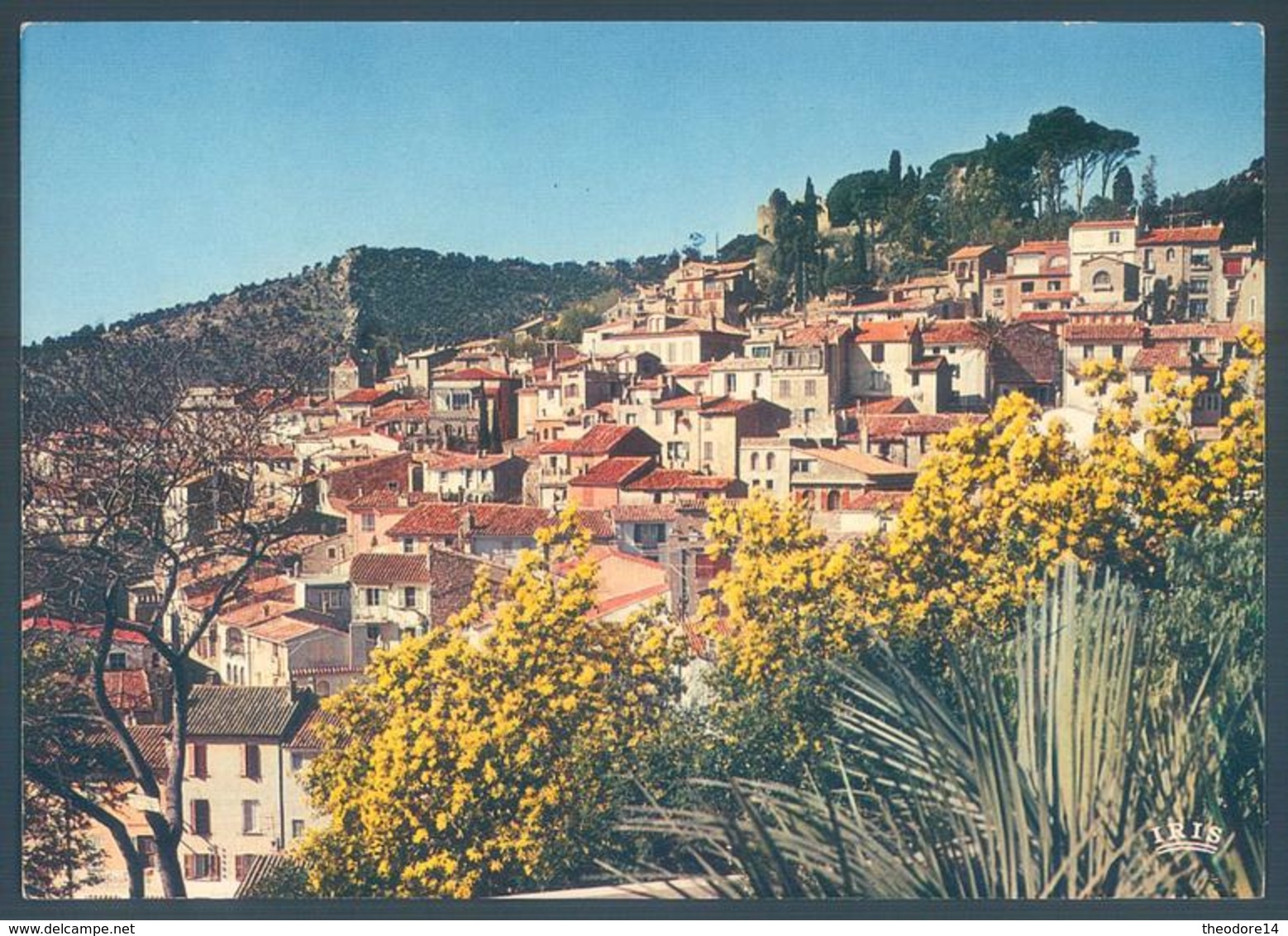 Lot de 38 cartes Var 83 Le Lavandou Bormes les mimosas Le Canadel