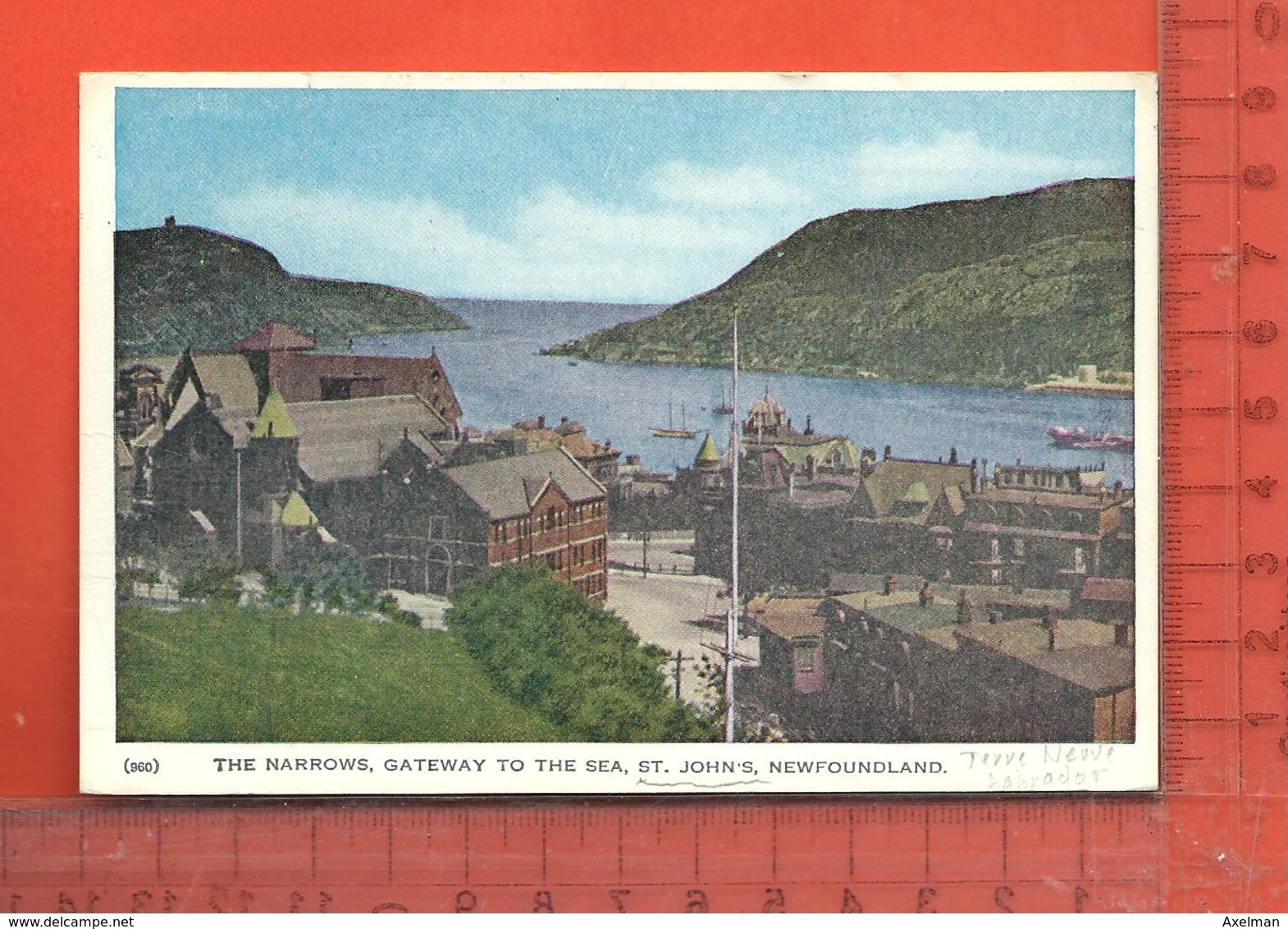 CPM  CANADA TERRE-NEUVE & LABRADOR : St. John's, The Narrows, Gateway To The Sea - St. John's