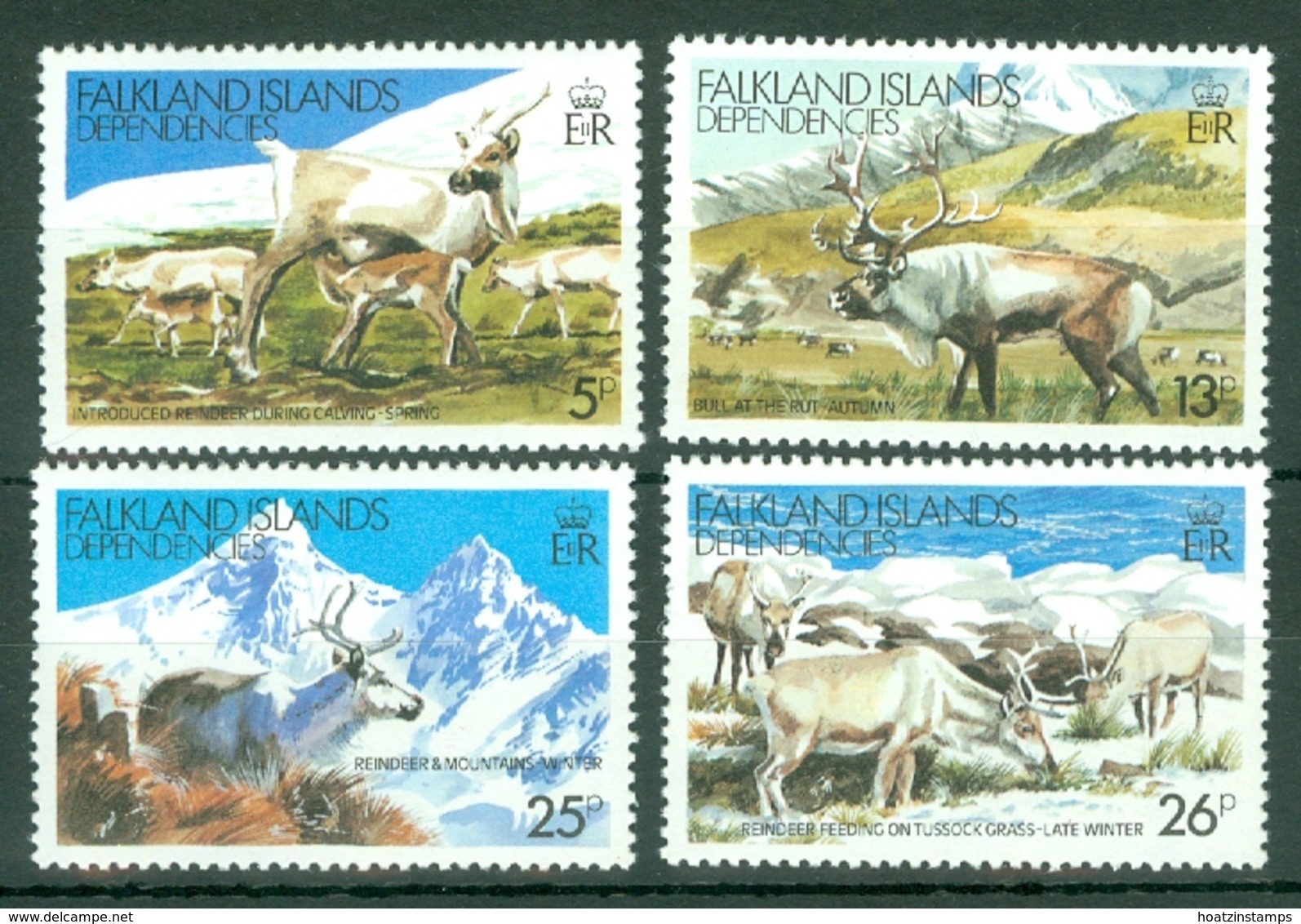 Falkland Islands Dep: 1982   Reindeer       MH - Falkland Islands