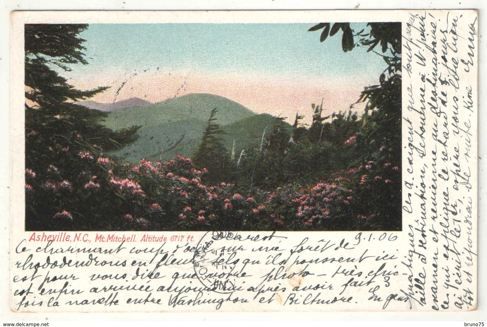 ASHEVILLE, NC - Mt. Mitchell - 1906 - Asheville