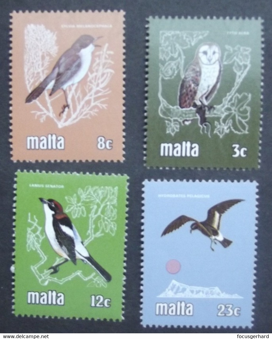 Malta   Vögel 1981  ** - Sonstige & Ohne Zuordnung