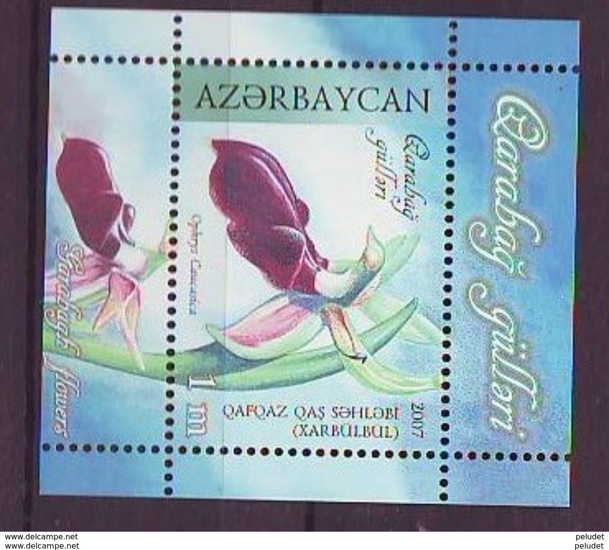 Azerbaijan 2007, Flowers S/s ** Mi BL76, Sn 863, Yt BF72, Sg MS686 - Azerbaïjan