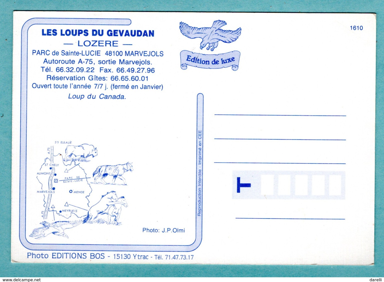 CP Animaux - Les Loups Du Gévaudan - Parc De Sainte Lucie 48 Marvejolos - Andere & Zonder Classificatie