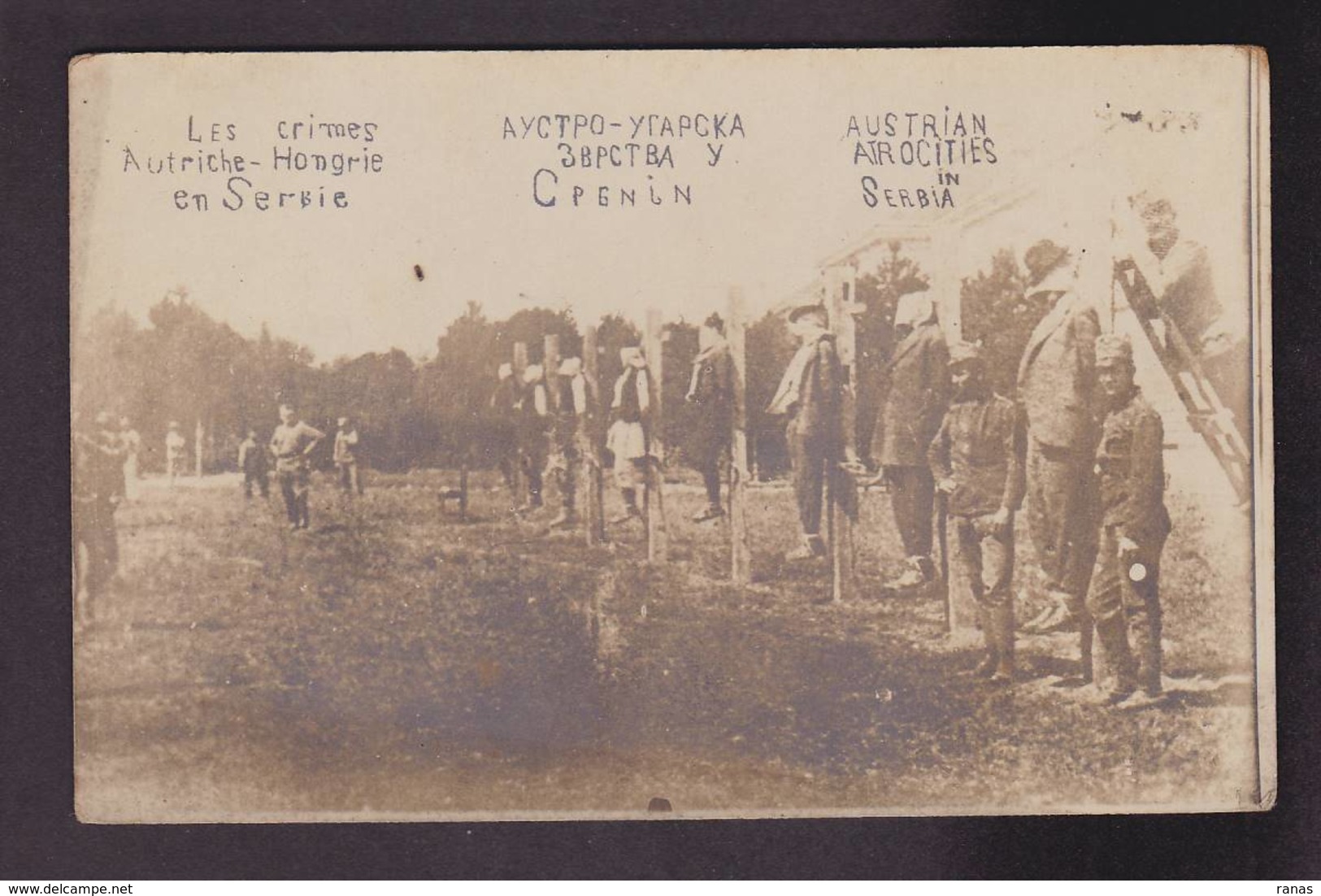 CPA Serbie Serbia Non Circulé Militaria Crimes Atrocités Autriche Hongrie Carte Photo RPPC - Serbie