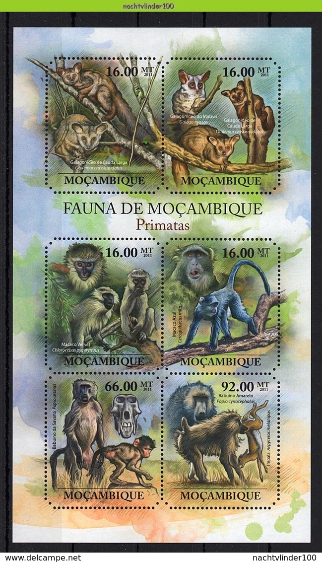 Nfo030b 2 Scans FAUNA AAP APEN ZOOGDIEREN BABOON MONKEYS MAMMALS APES AFFEN SINGES MOCAMBIQUE 2011 PF/MNH - Apen