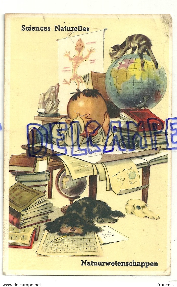 Petit étudiant Concentré, Chien, Chat, Mappemonde, Calculs ... Sciences Naturelles. Natuurwetenschappen. JC. 1964 - Contemporain (à Partir De 1950)