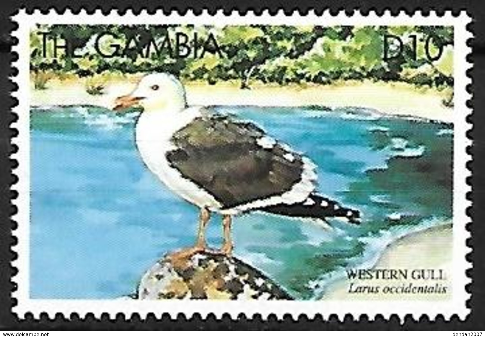 GAMBIA - MNH - 1999 : Western Gull  -  Larus Occidentalis - Seagulls