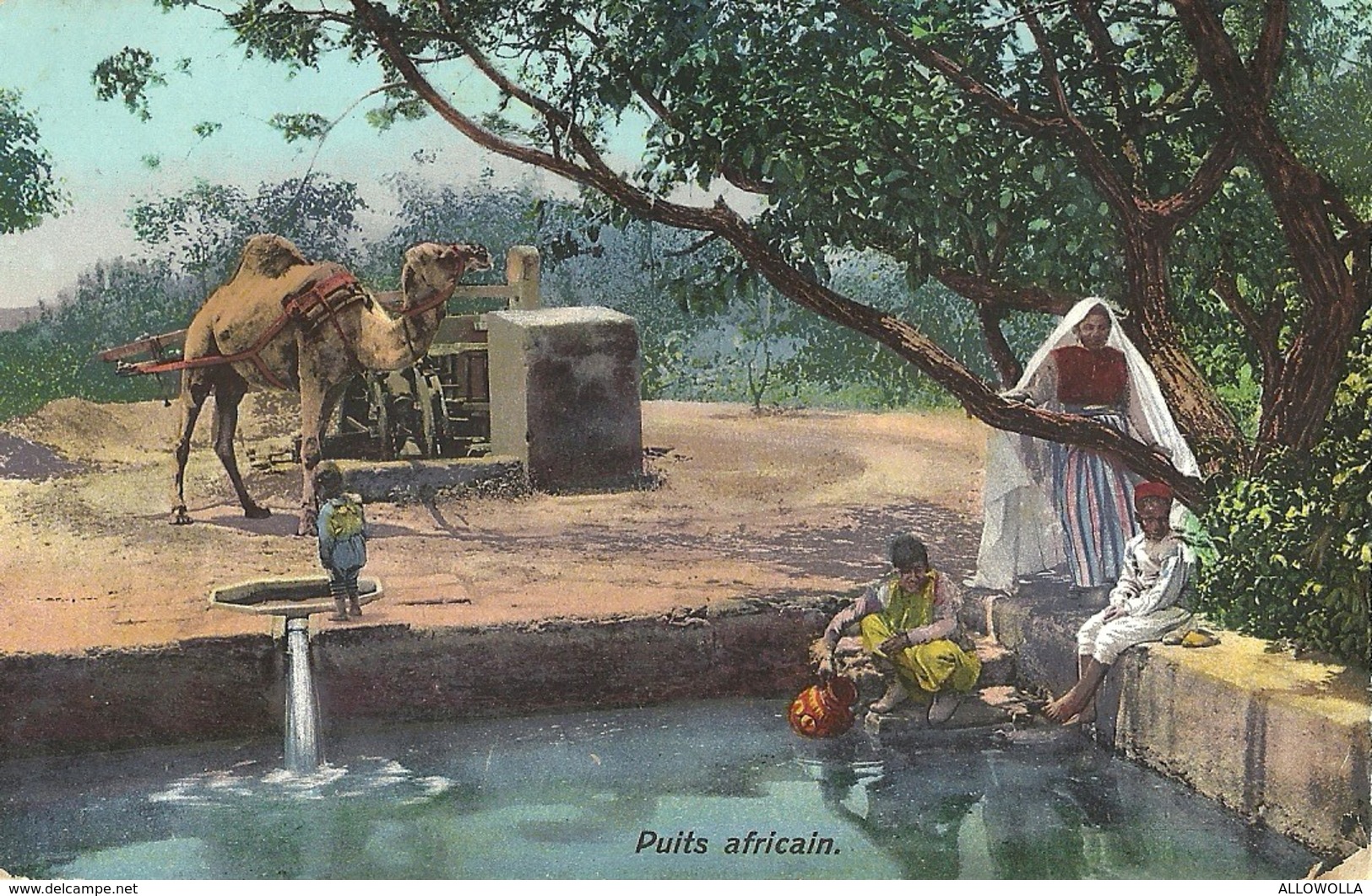 6170 " PUITS AFRICAIN "ANIMATA-DROMEDARIO CART. POST. ORIG. SPED.1911 - Scenes