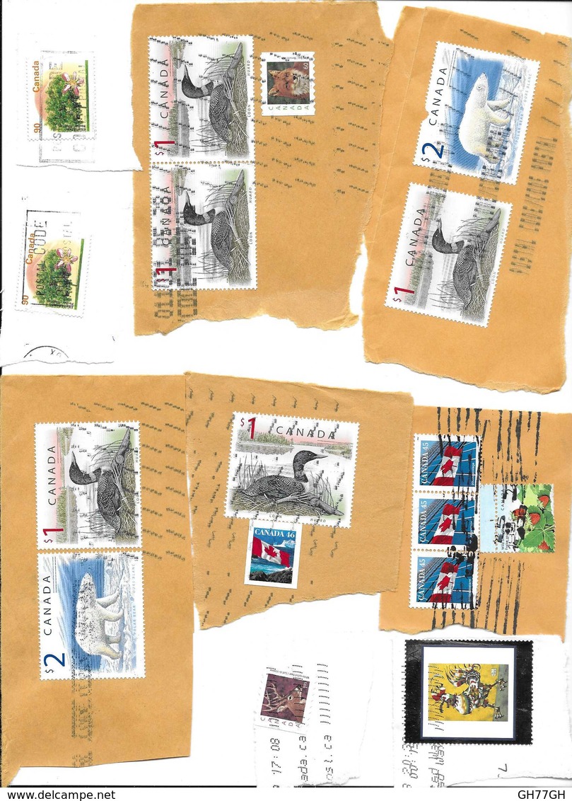 LOT TIMBRES CANADA - Mezclas (max 999 Sellos)