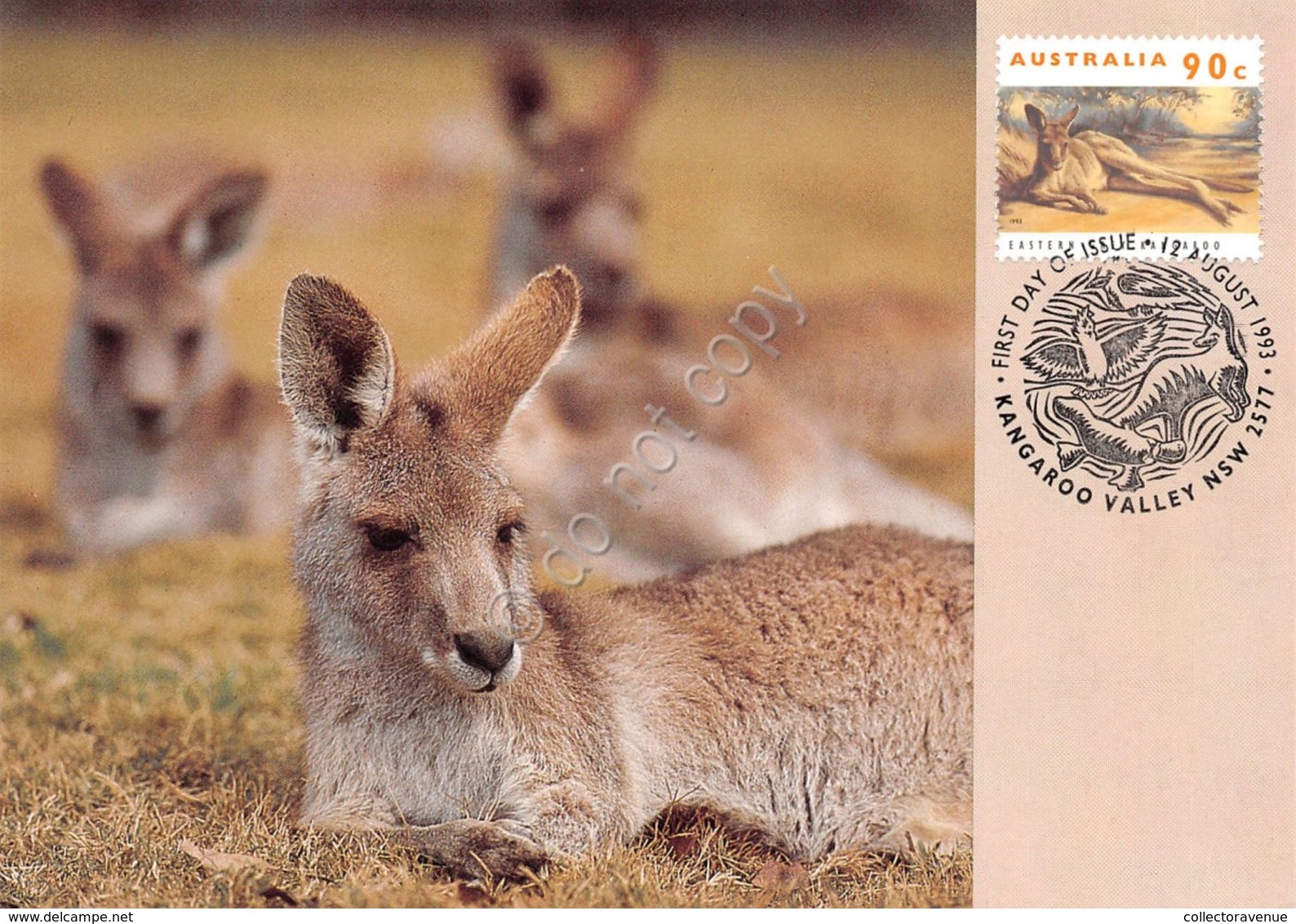 Cartolina Maximum Australia Kangaroon Valley 1993 - Non Classificati