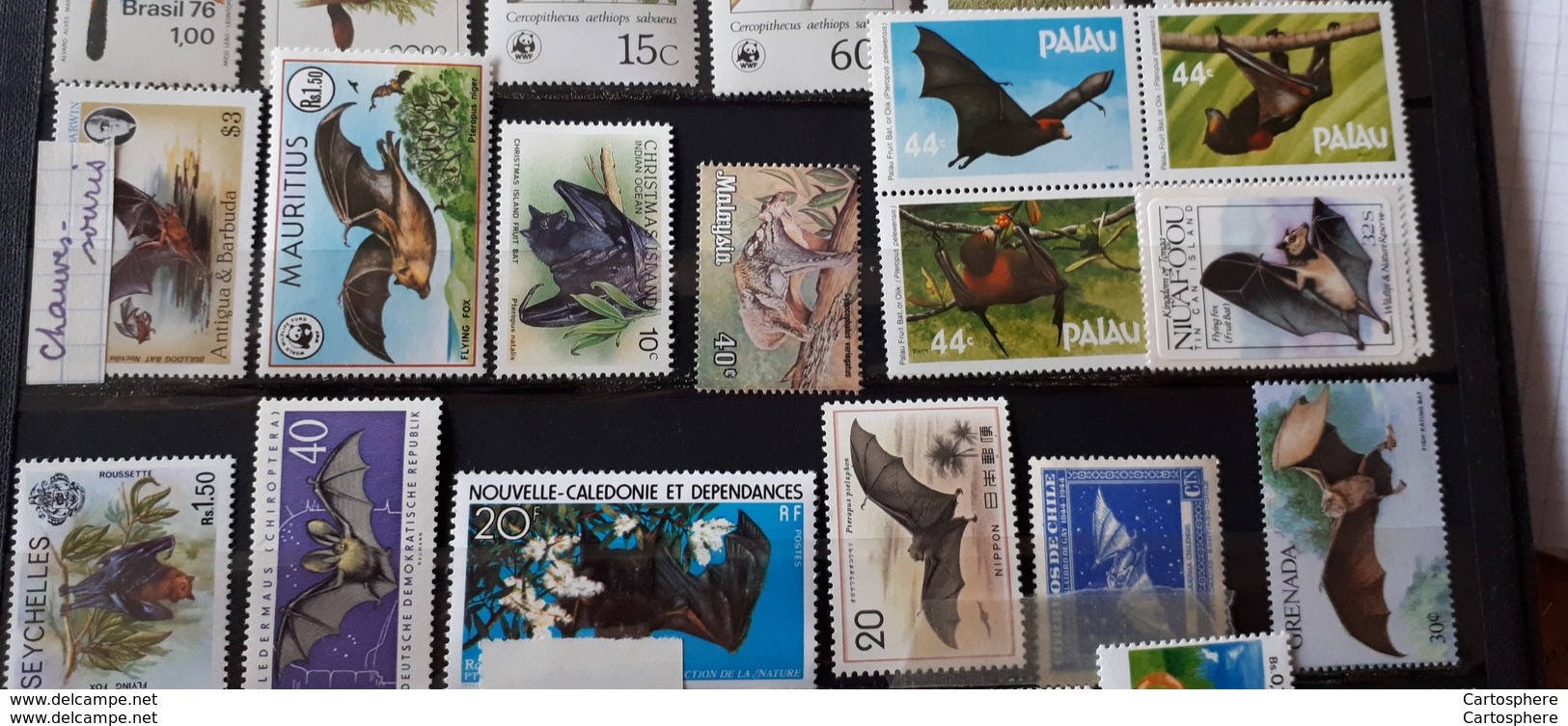 Série De 15 Timbres Chauves-Souris Neufs Ss Charnières ** TTB - Bats - Fledermäuse