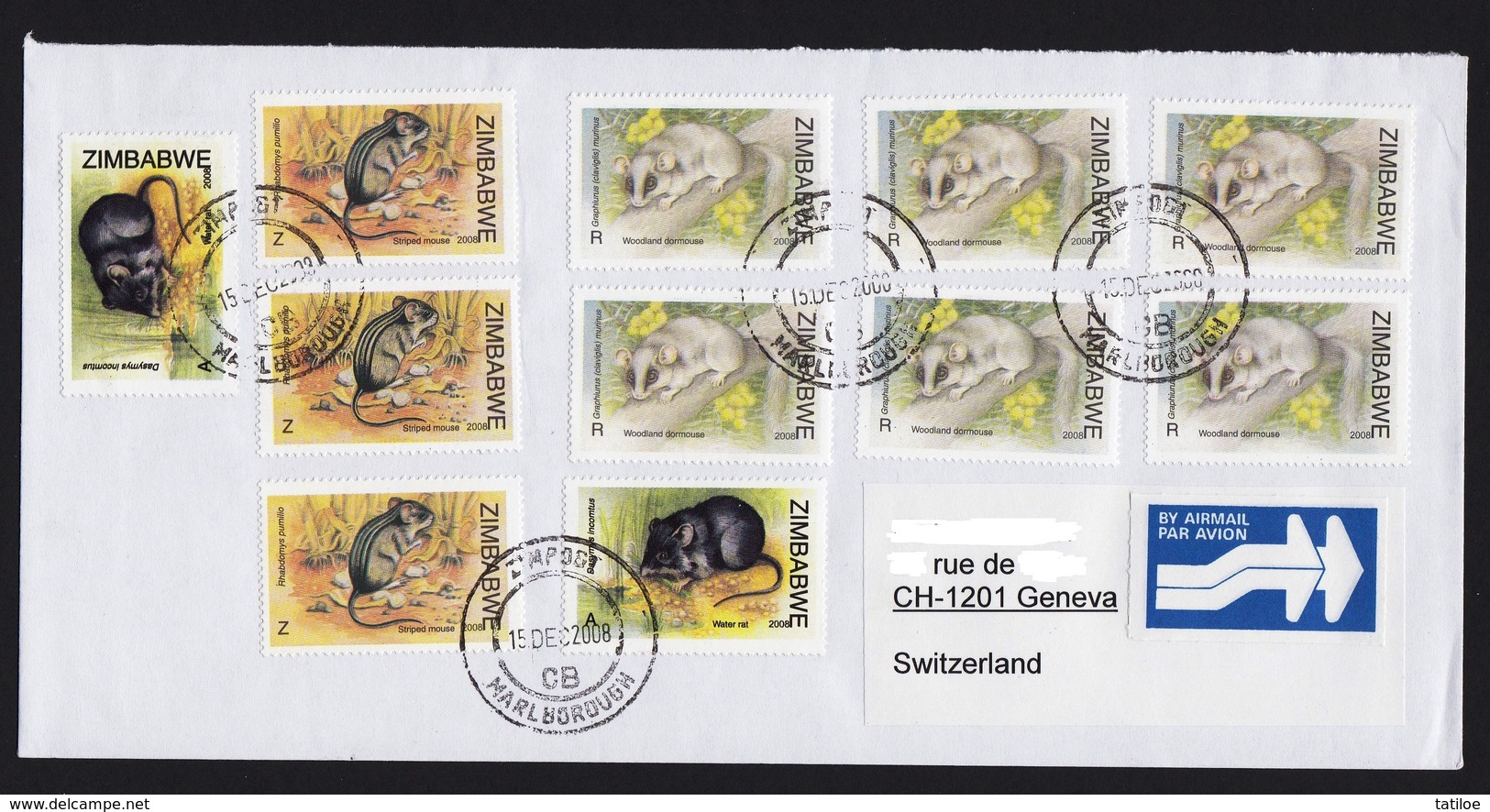 Zimbabwe Cover With 2008 Rats & Mice / Marlborough Postmark (Simbabwe) / Inflation Period - Zimbabwe (1980-...)