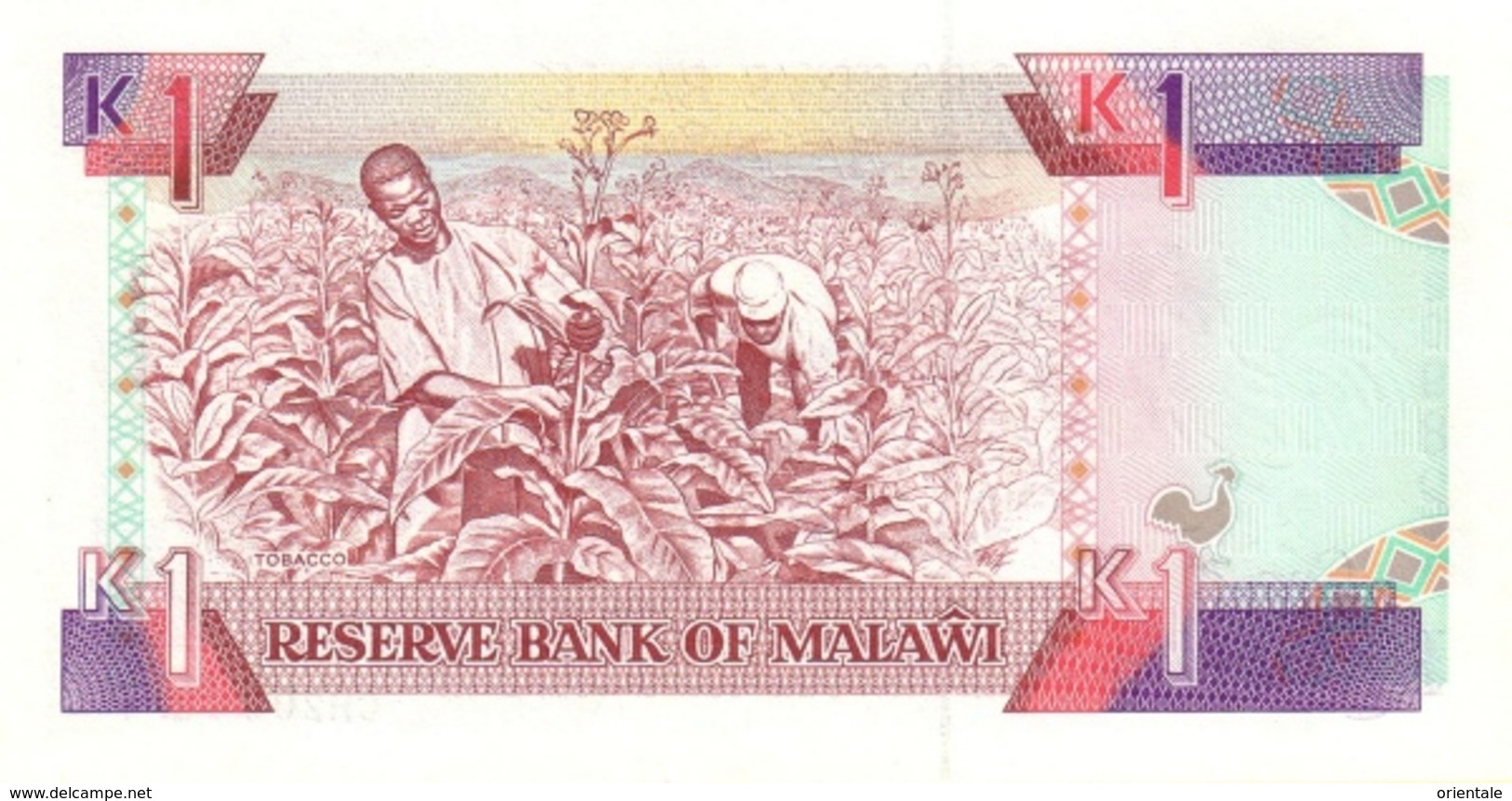 MALAWI P. 23b 1 K 1992 UNC - Malawi