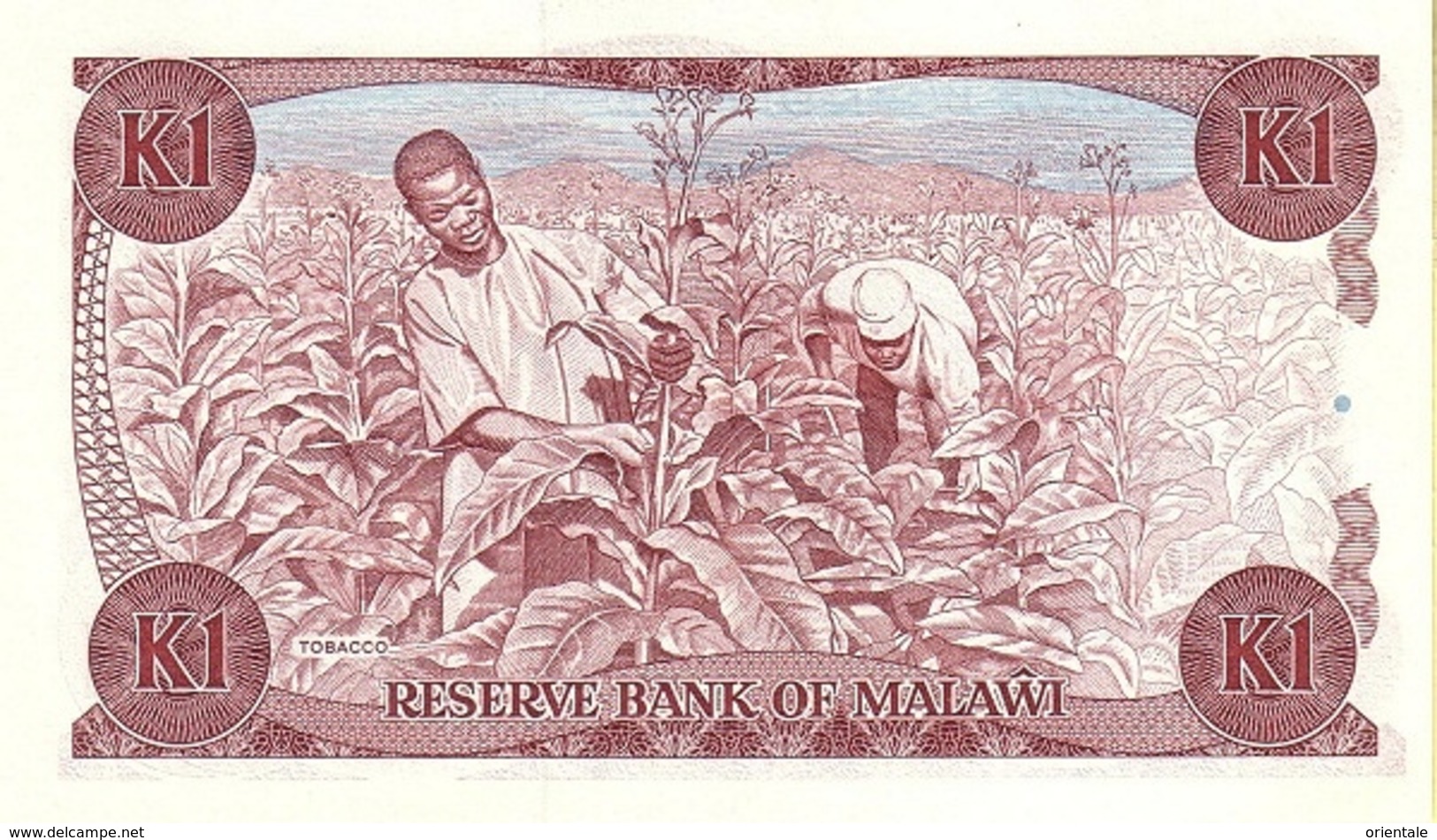 MALAWI P. 19a 1 K 1986 UNC - Malawi