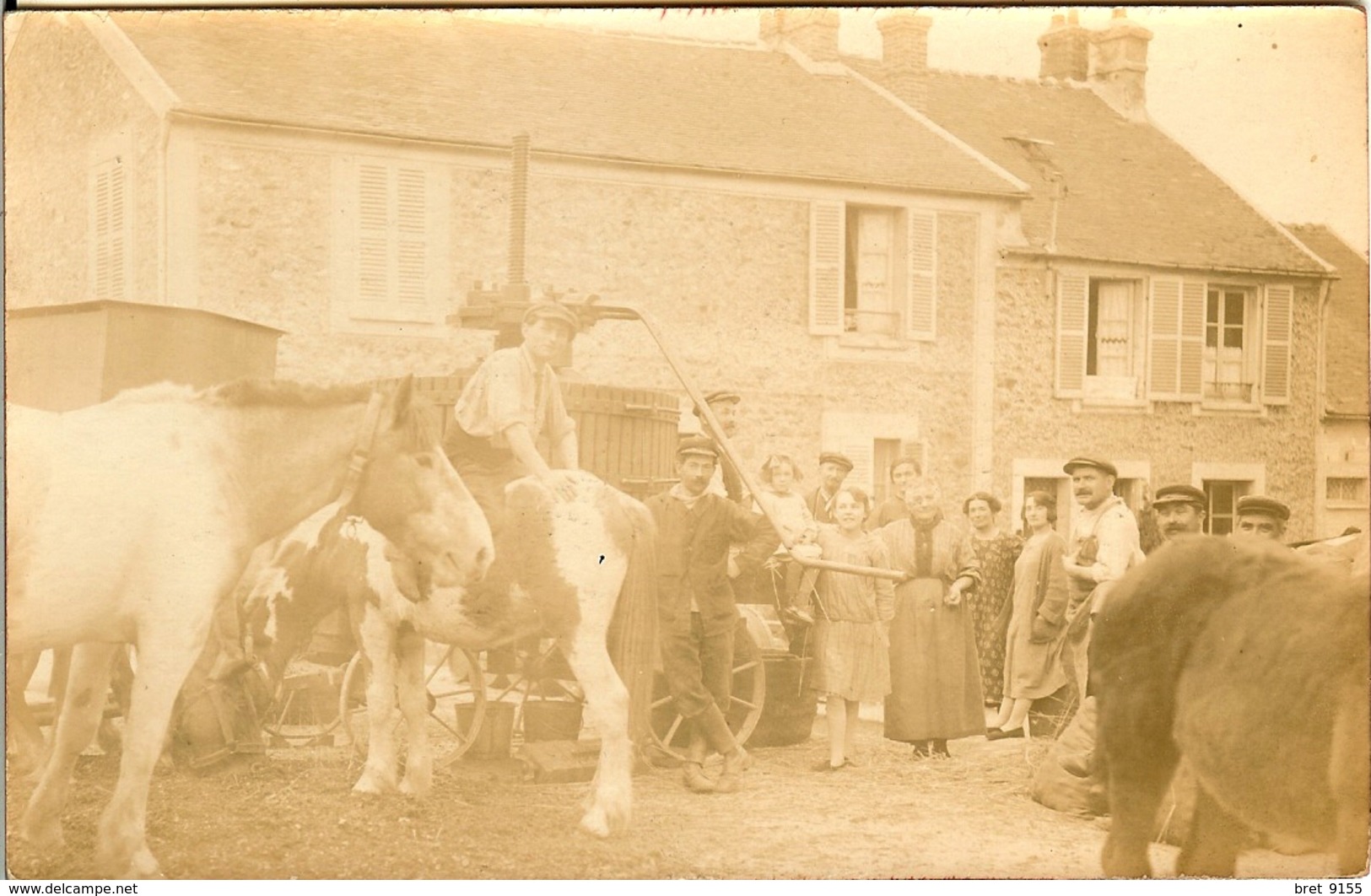 91 DE RETOUR DE VENDANGES LA PHOTO DU PRESSOIR EST ENVOYEE DE VERT LE PETIT EN 1925 - Vert-le-Petit