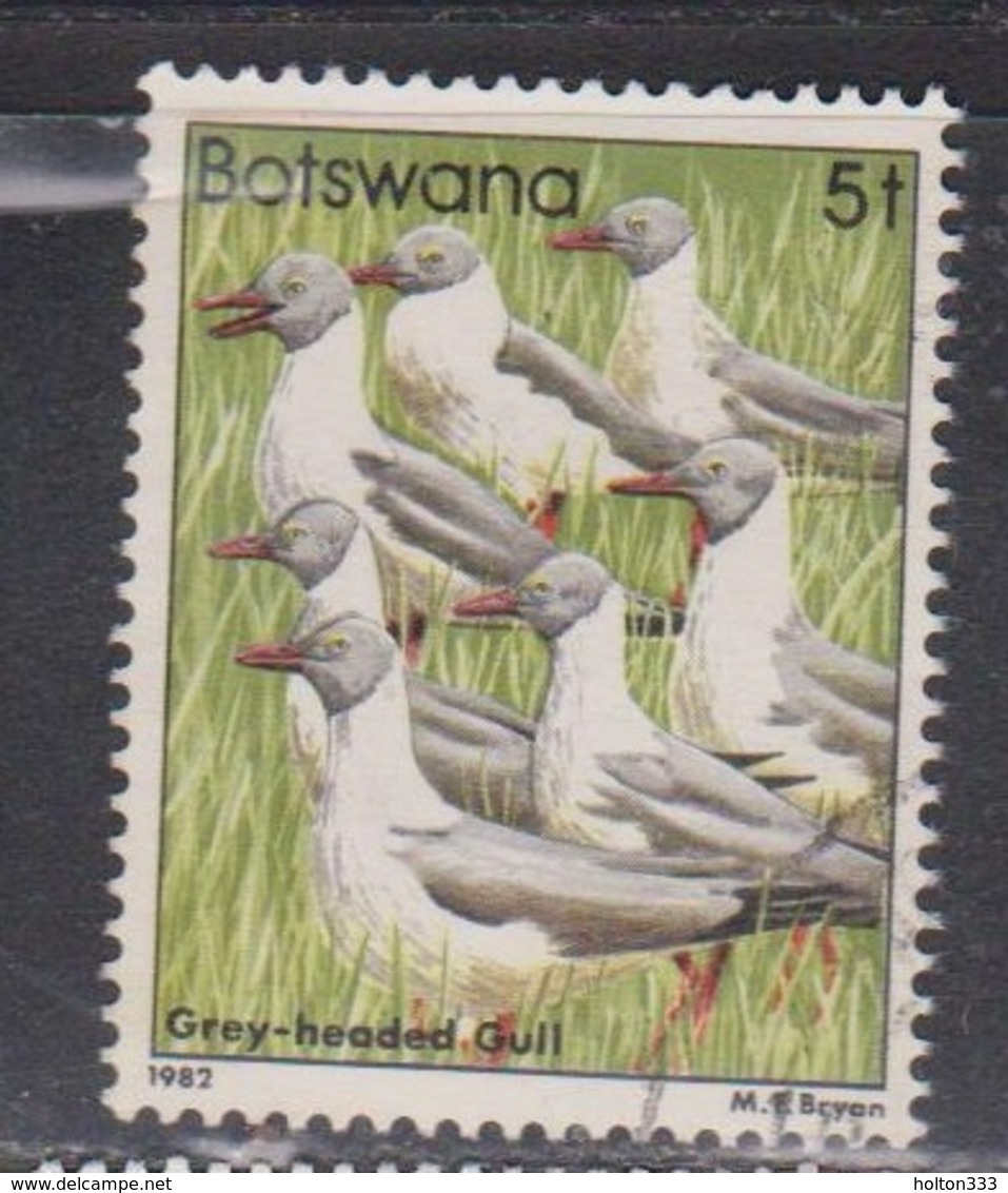 BOTSWANA Scott # 307 Used - Birds - Grey Headed Gull - Botswana (1966-...)