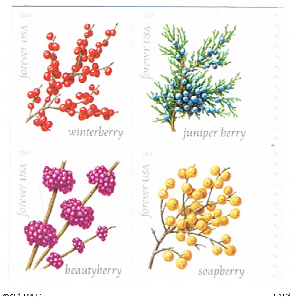 Winter Berries, 2019 - Unused Stamps